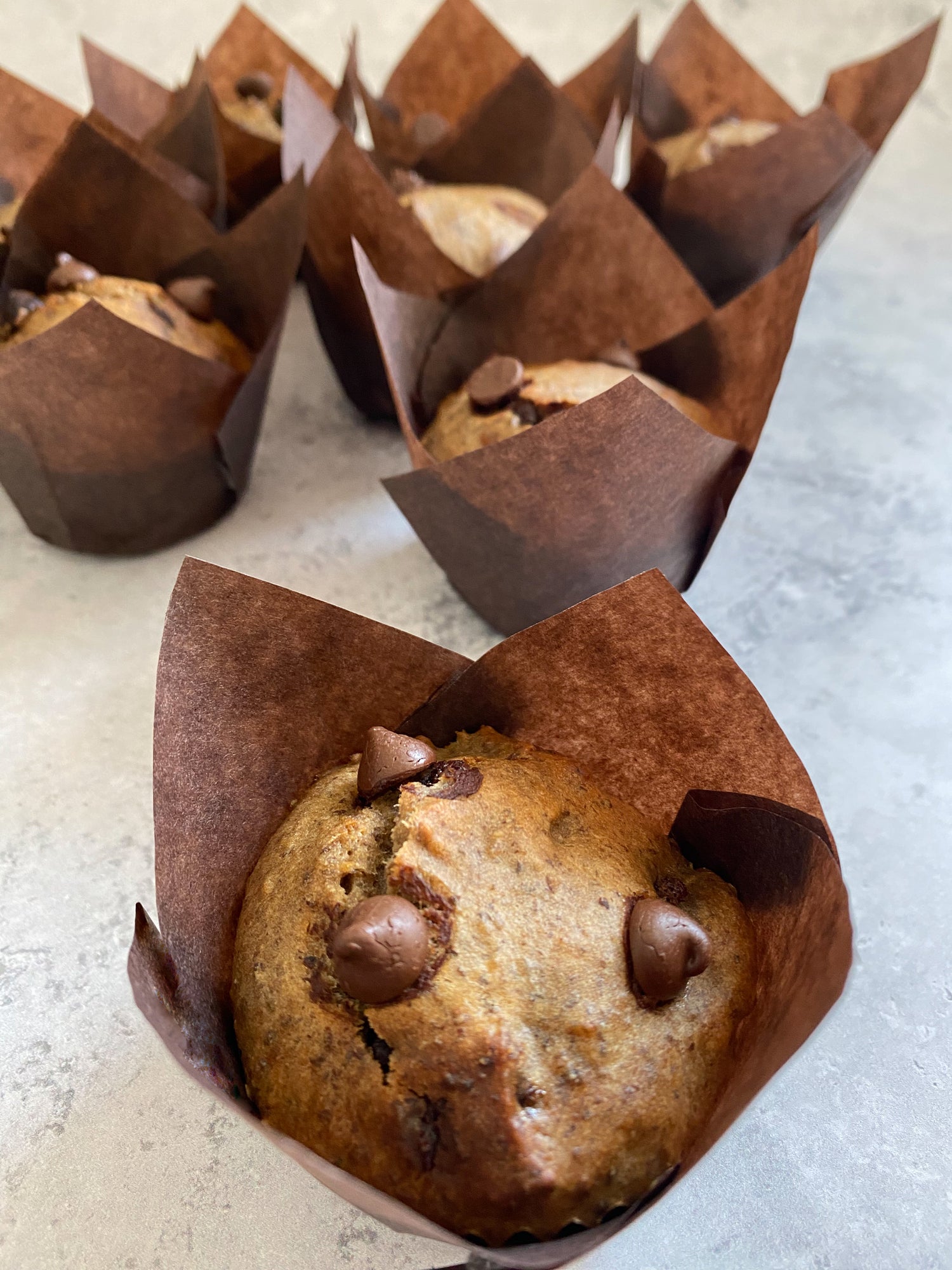 LENTIL BANANA MUFFINS